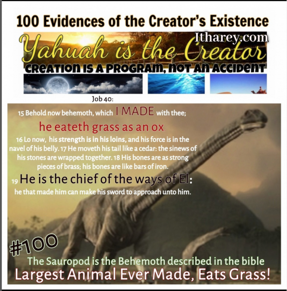 Evidence #100 - Proof Yahuah Exists - Largest Animal Ever Lived Ate Grass