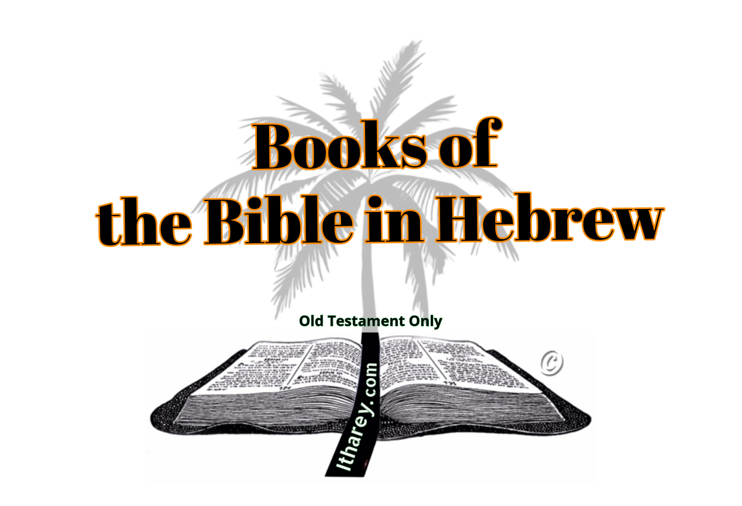 books in hebrew