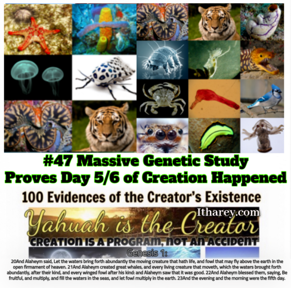 Evidence #47 - Massive Genetic Study Reveal 90% of Animals "appeared" all at the SAME time