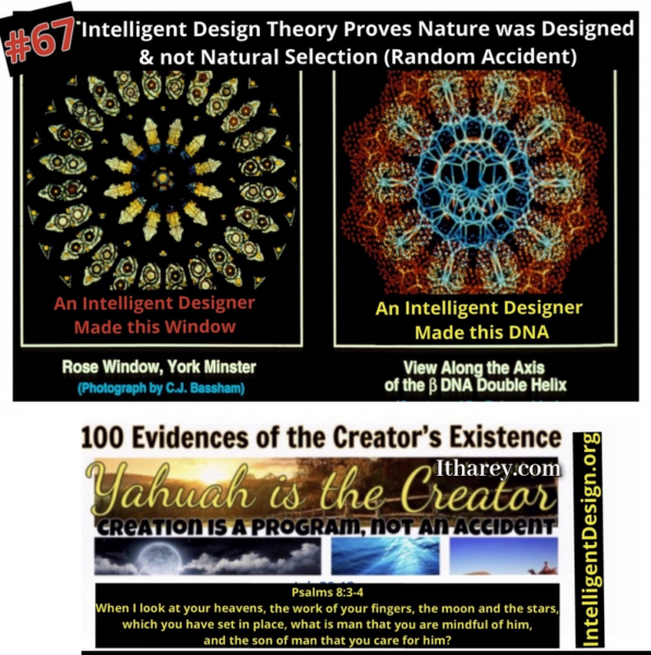 Evidence #67 Intelligent Design Therory Proves Nature was Designed thus Requring an Intelligent Creator