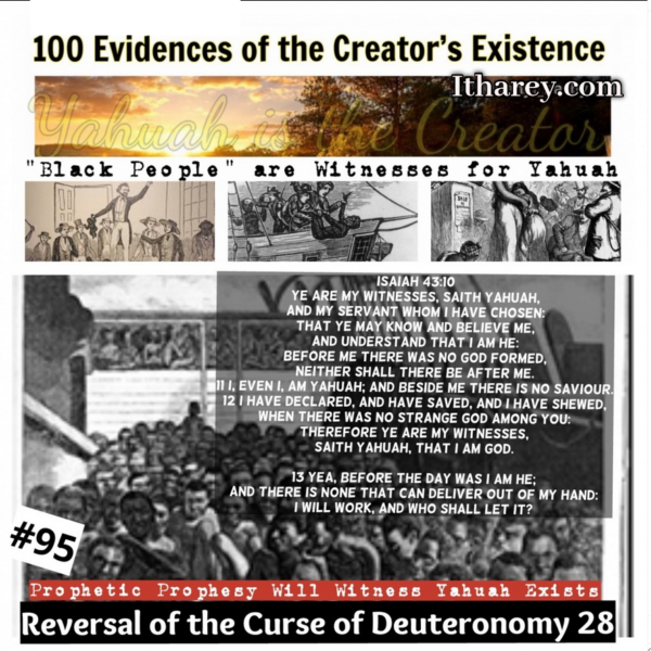 Evidence #95 - Proof Yahuah Exists - Reversal of the Curse Deuteronomy 28