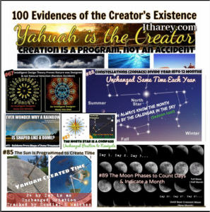 Creation is a Program - Not an Accident - 100 Evidences to Prove the Creator Exists