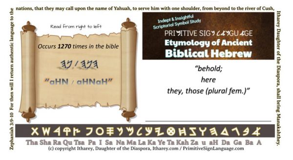 הנ  / הנה behold, here, they those