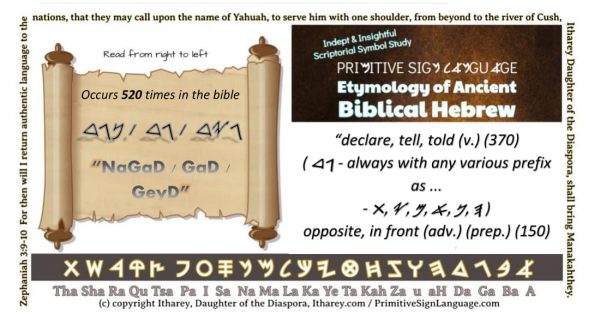 declare tell told opposite in front גד