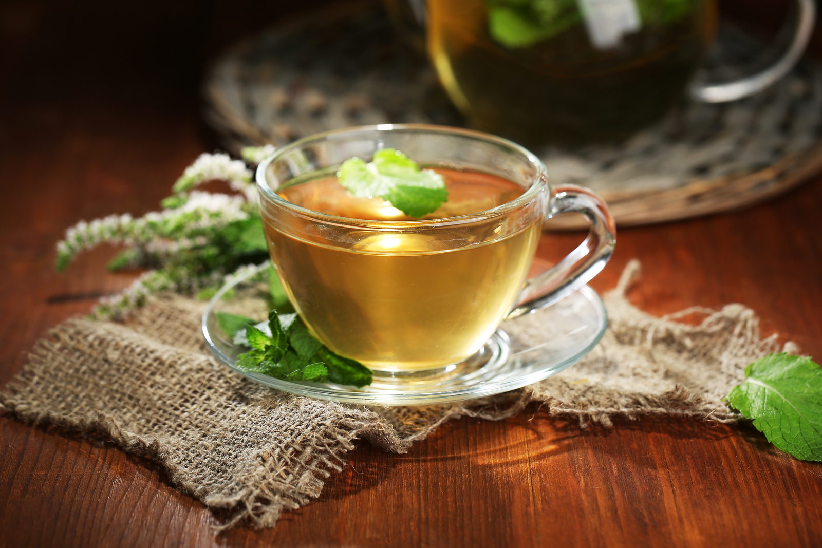 bigstock-Cup-and-teapot-of-herbal-tea-w-48451340